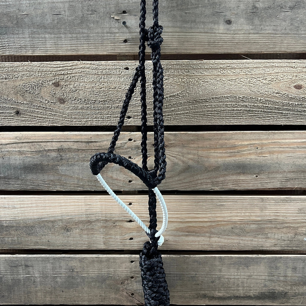 Lariat Mule Tape Halters - Assorted Colors-