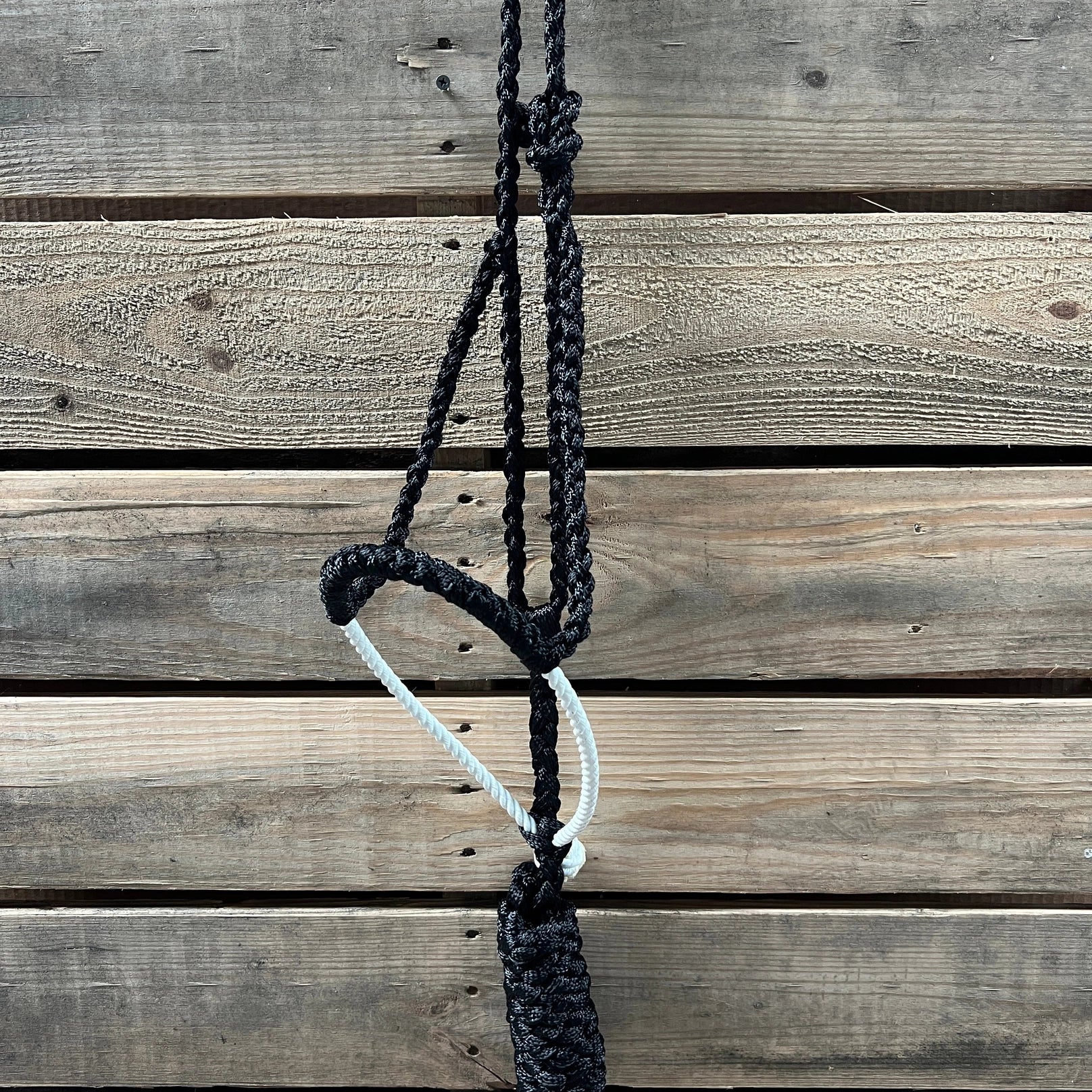 Lariat Mule Tape Halters - Assorted Colors-