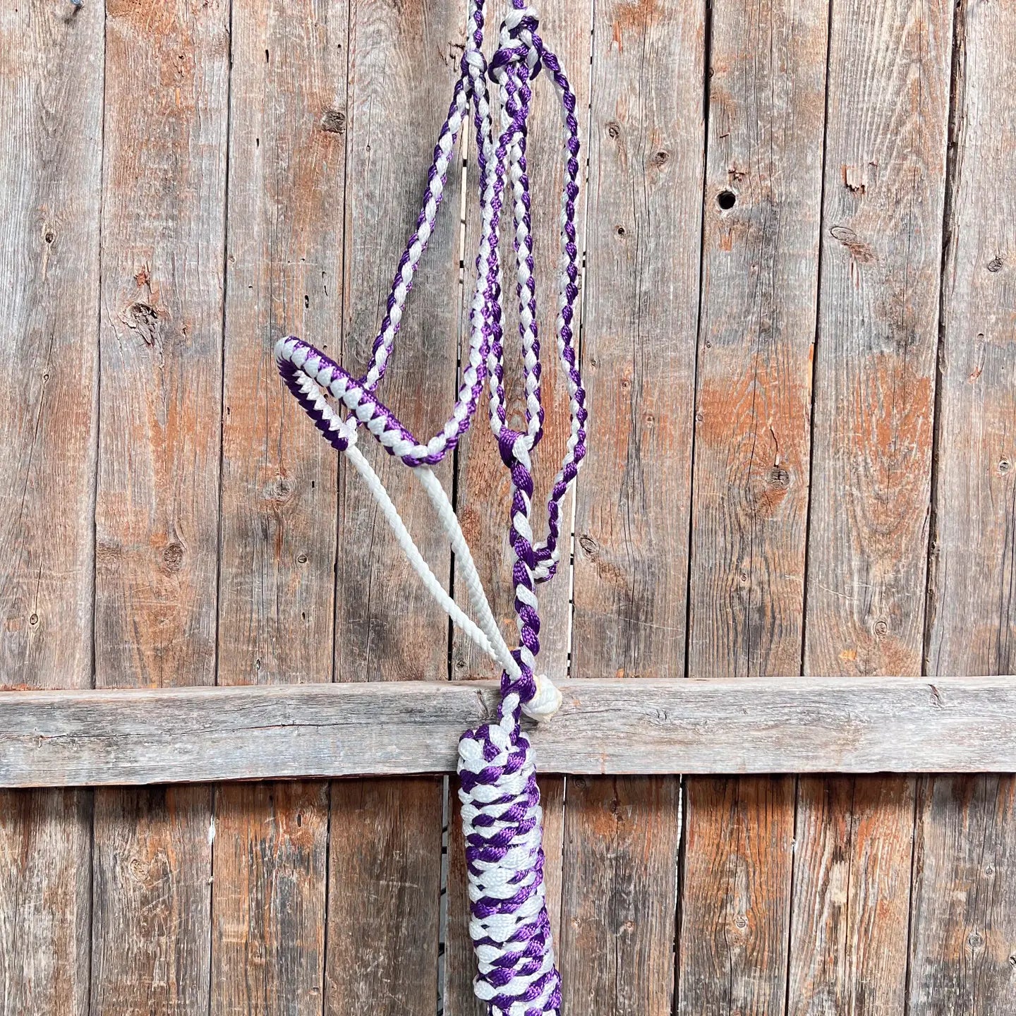 Mule Tape Halter