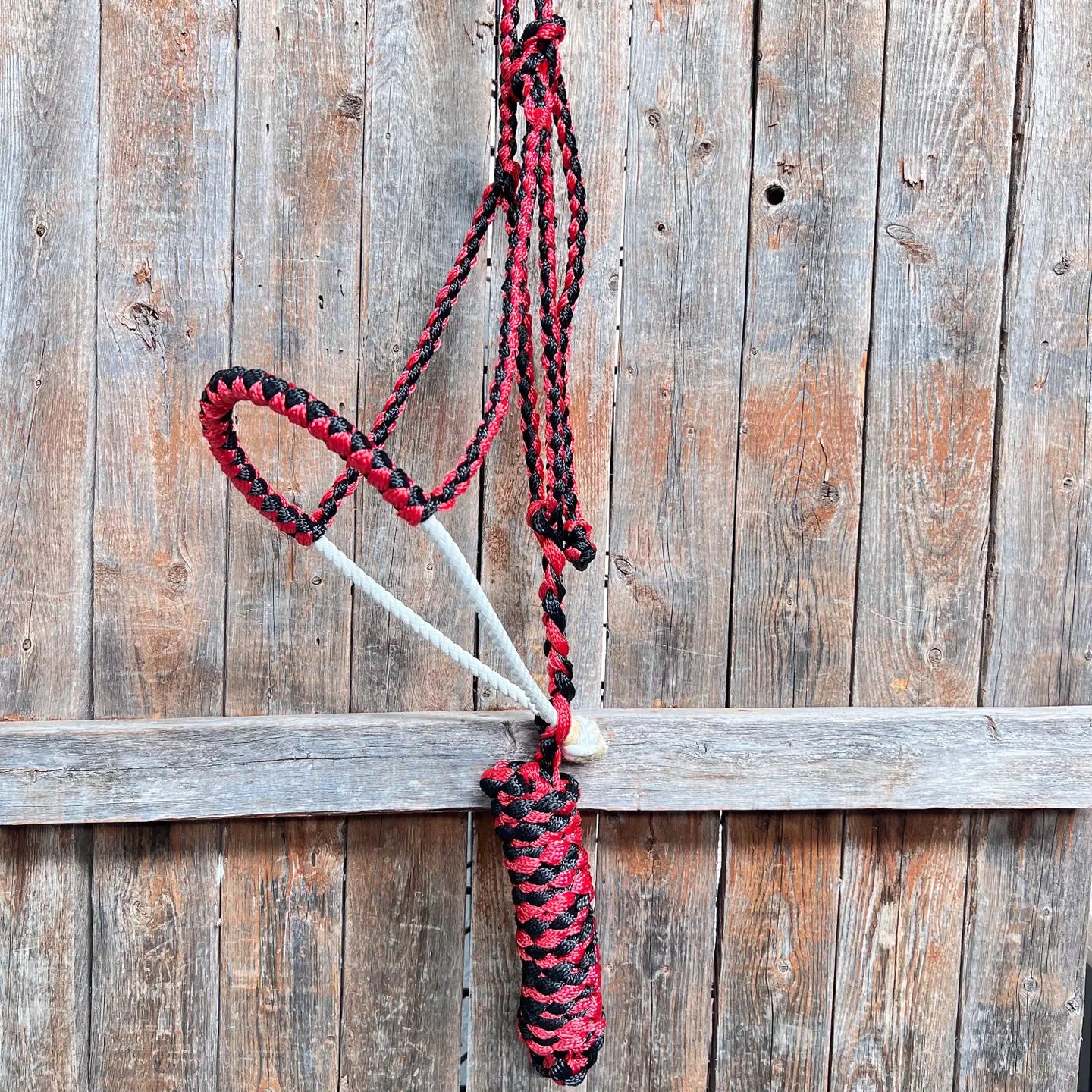 Mule Tape Halter