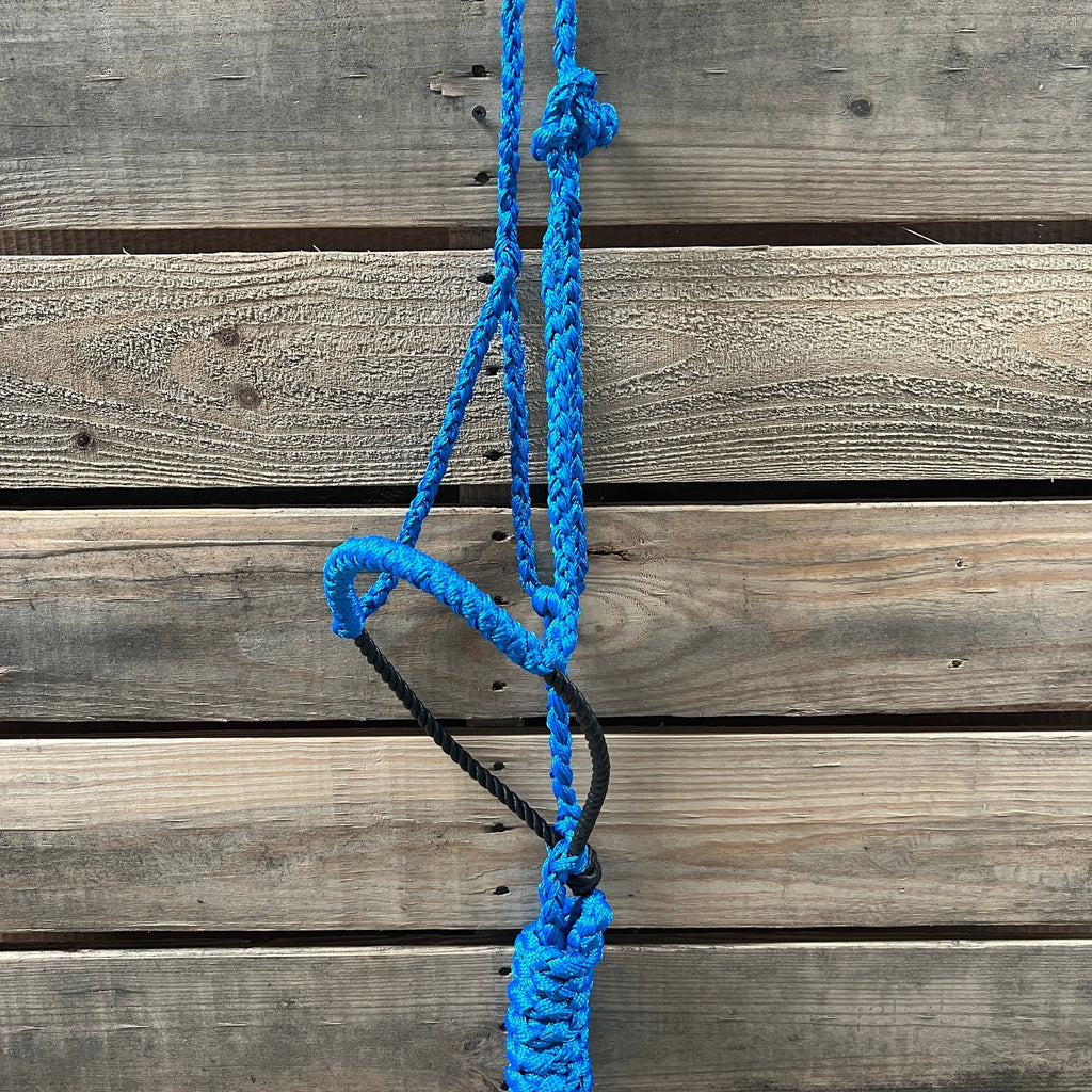 Lariat Mule Tape Halters - Assorted Colors-