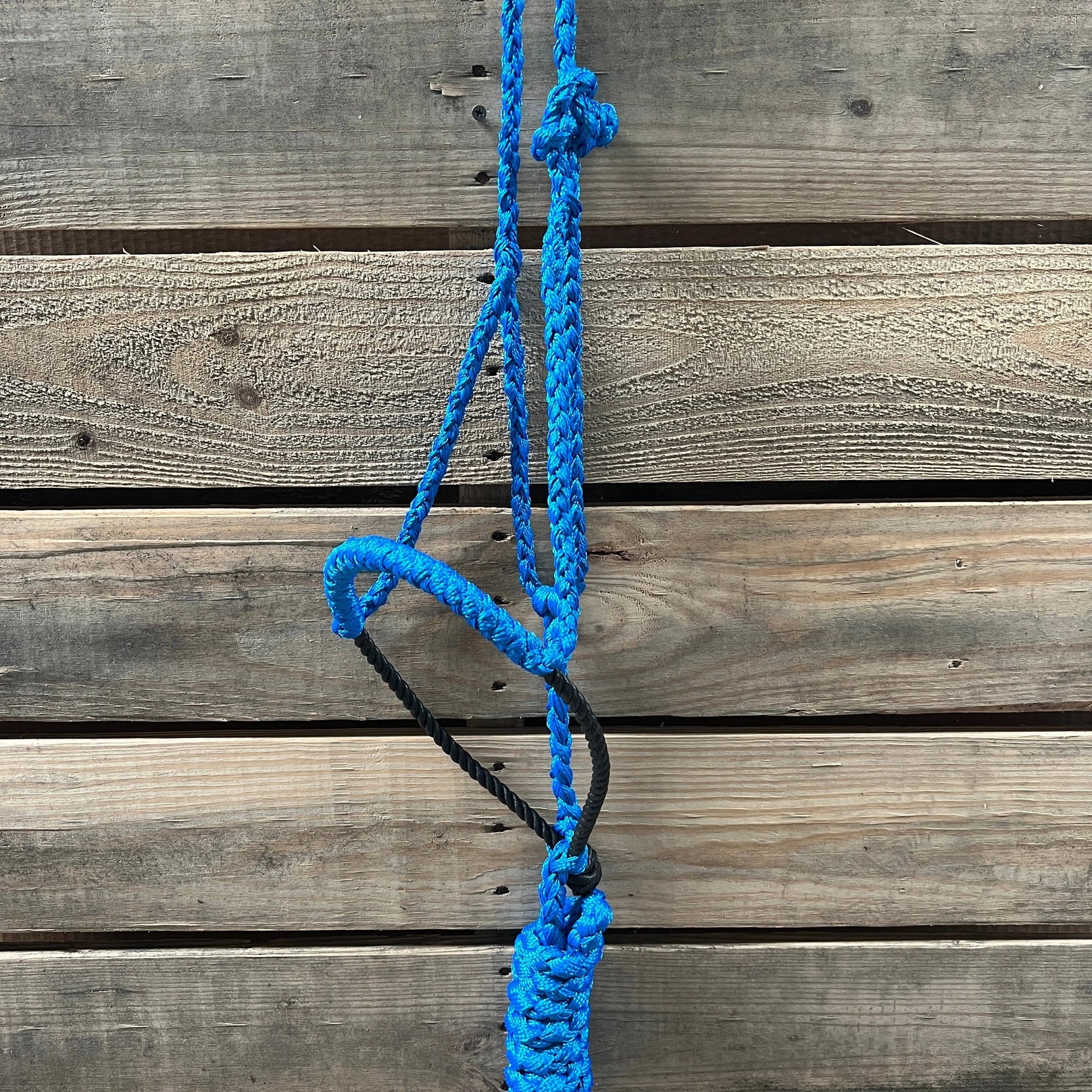 Lariat Mule Tape Halters - Assorted Colors-