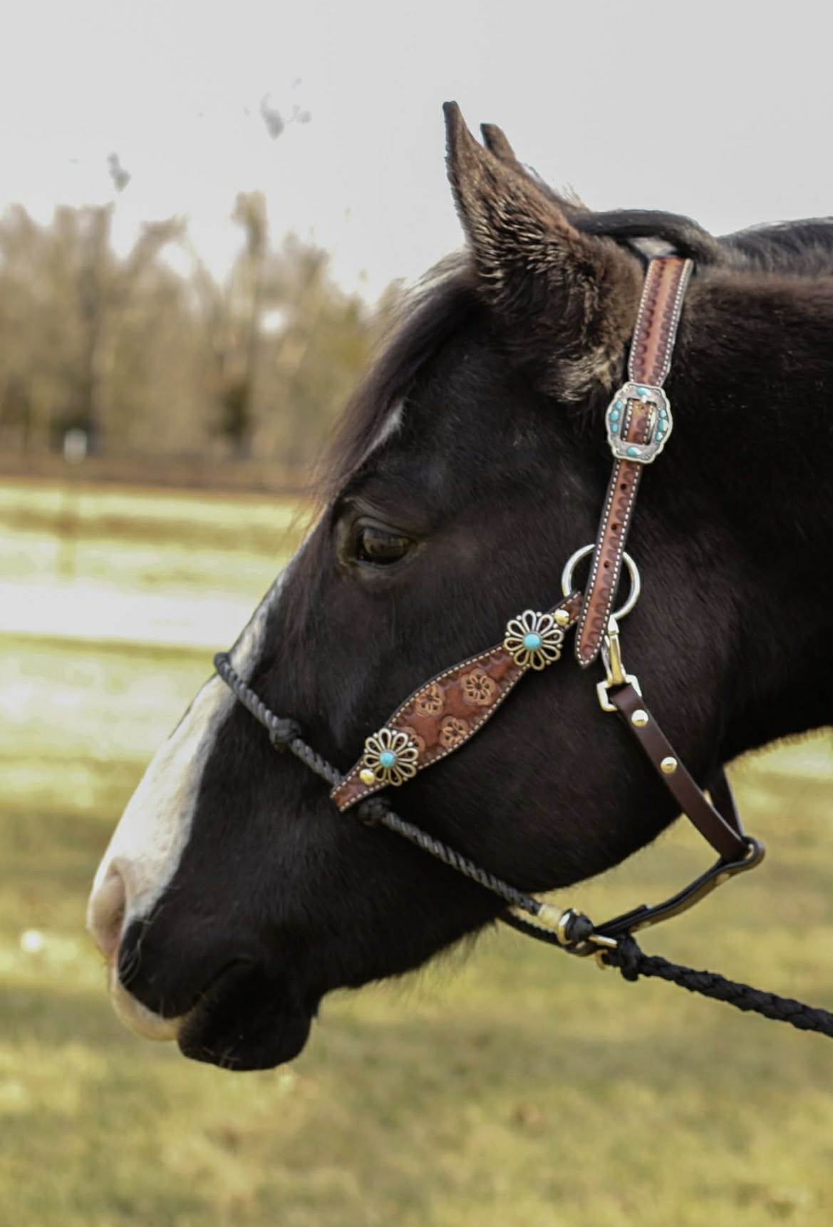 Floral Tooled Lariat & Leather Combo Halter