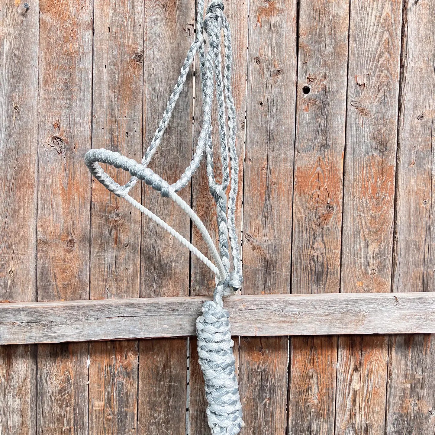 Mule Tape Halter