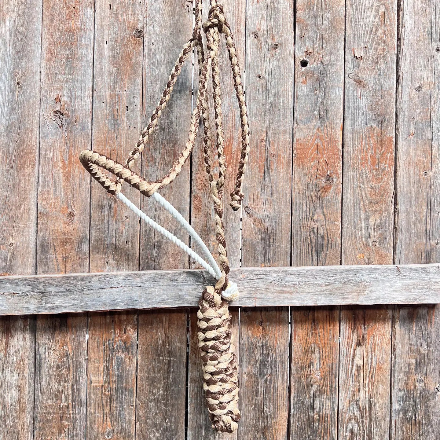 Mule Tape Halter